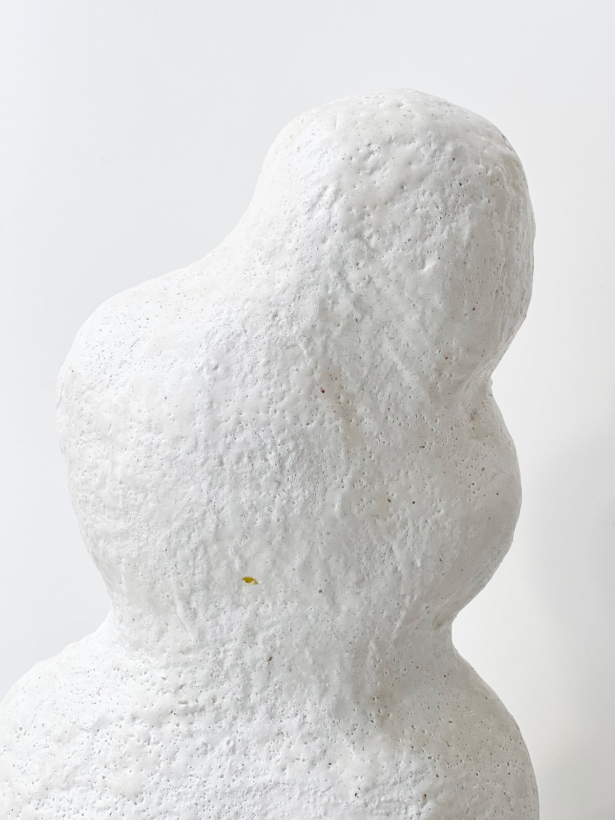 Sculpture: Cloud Forest 06