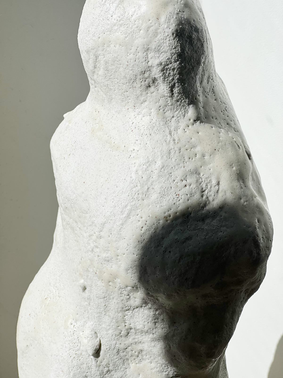 Sculpture: Cloud Forest 05